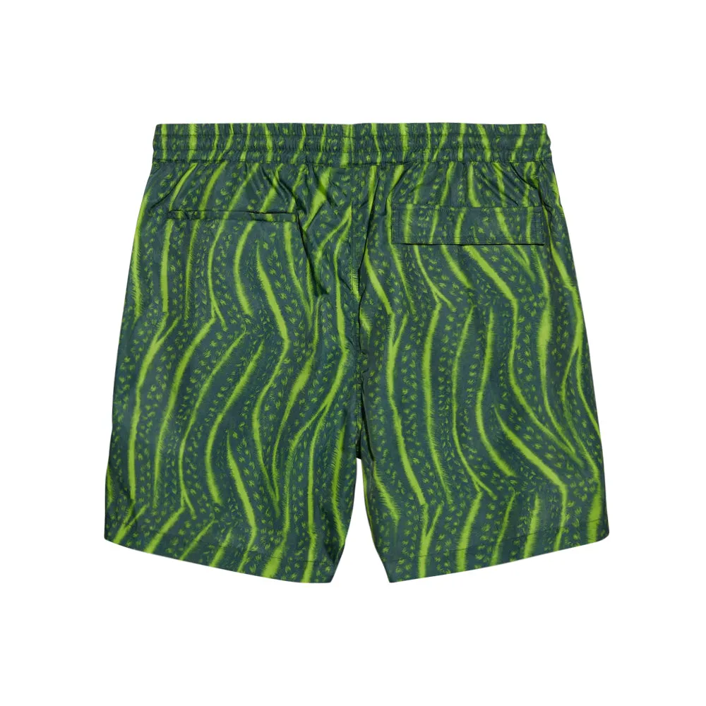 Cornrow Short (Green)