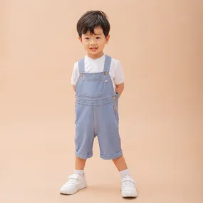 Denim Toddler Overalls