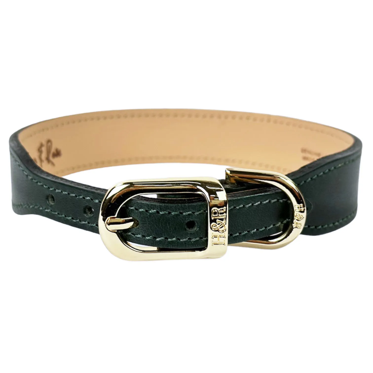 Italian Ivy Green Leather Dog Collar in Gold